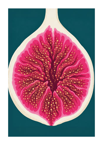 Poster Fuchsia Fig Slice