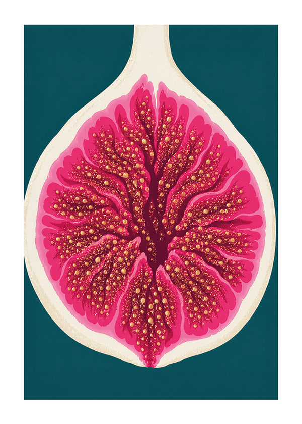 Poster Fuchsia Fig Slice