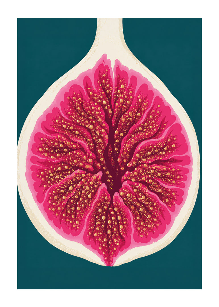 Stylized fig in intense pink tones against a deep teal background.-12