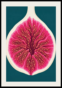 Stylized fig in intense pink tones against a deep teal background.-2