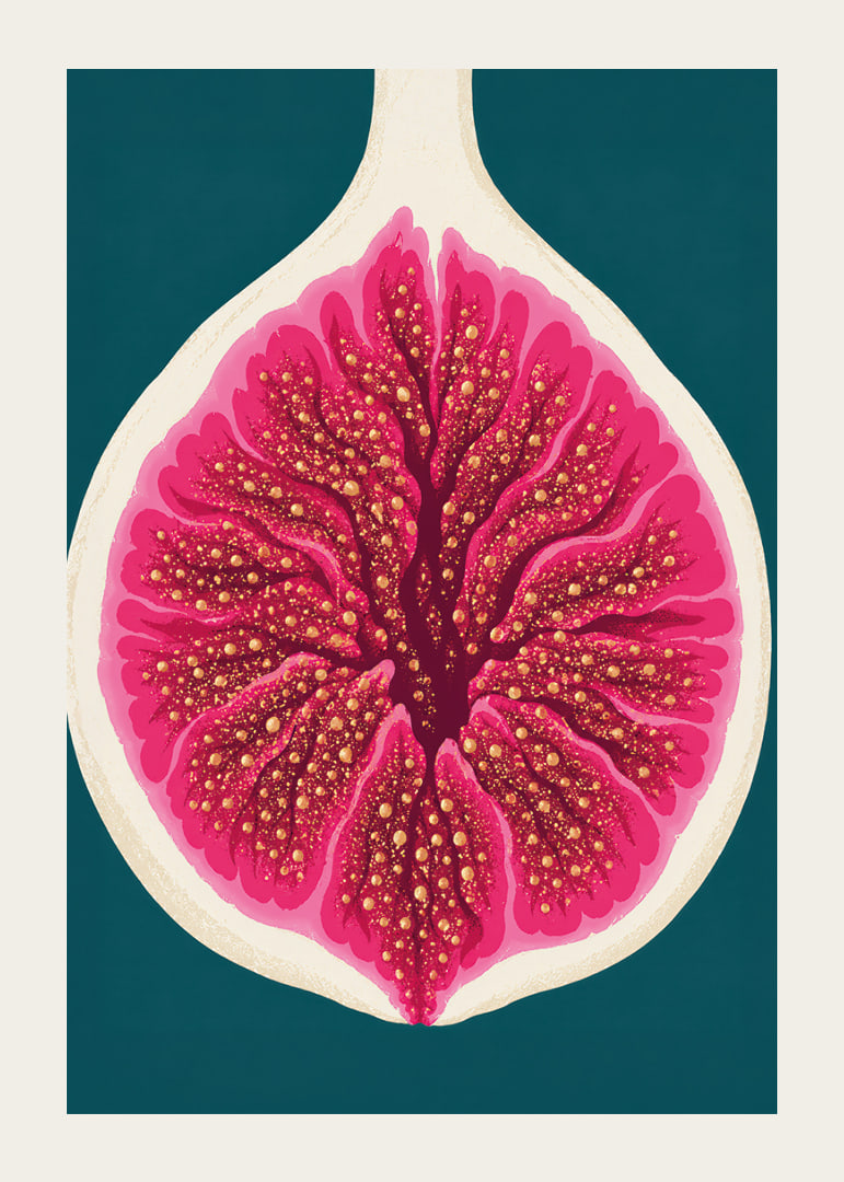 Stylized fig in intense pink tones against a deep teal background.-12