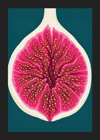 Stylized fig in intense pink tones against a deep teal background.-5