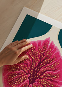 Stylized fig in intense pink tones against a deep teal background.-9