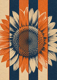 A graphic sunflower in warm orange and blue tones with a rustic retro feel.-7