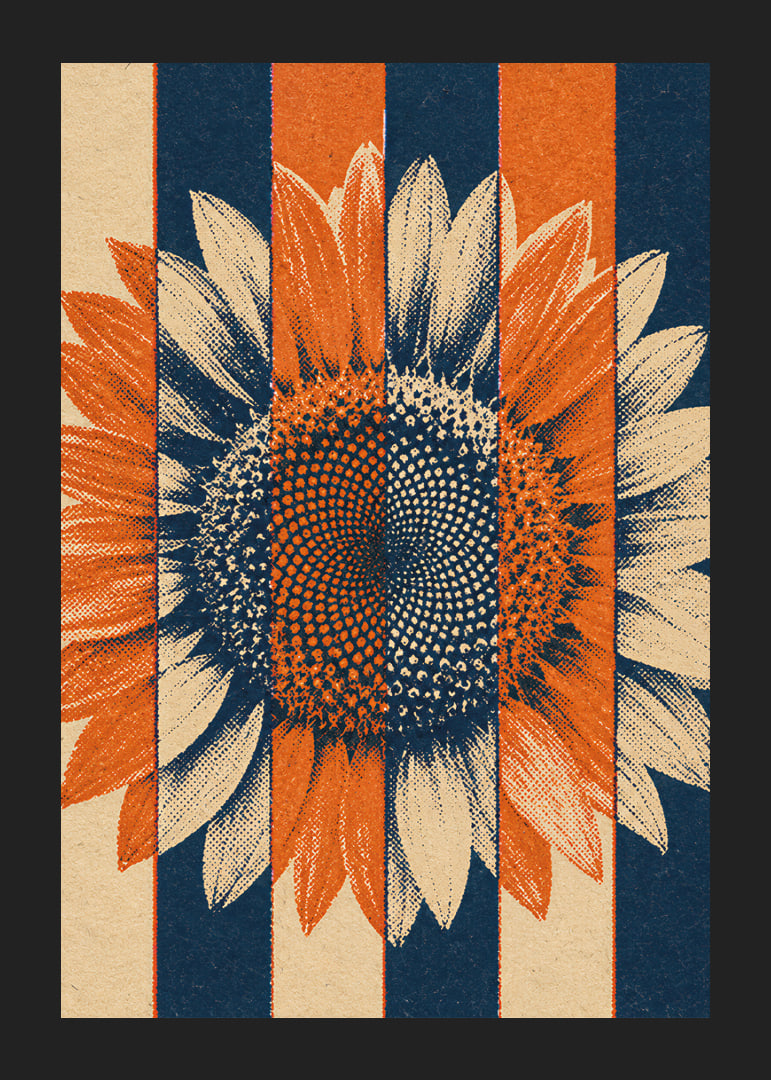 A graphic sunflower in warm orange and blue tones with a rustic retro feel.-12
