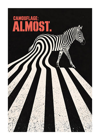 Poster Almost Camouflage Zebra