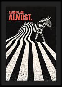 Zebra gandrīz saplūst ar savu dramatisko, vizuālo svītru gammu.-4