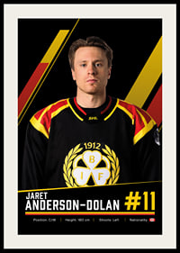 Jaret Anderson-Dolan #11 Brynäs IF 2026/2027-2