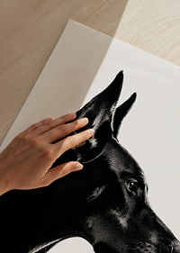 Stylish black and white poster with a proud Doberman in sharp profile.-9