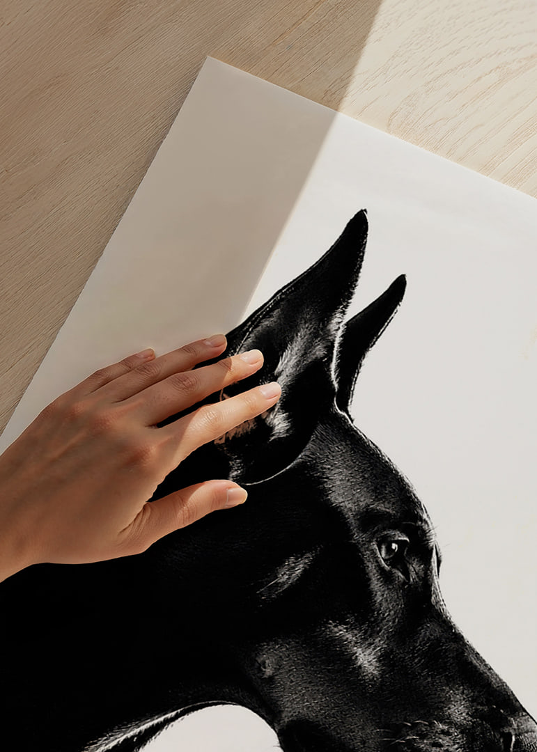 Stylish black and white poster with a proud Doberman in sharp profile.-12