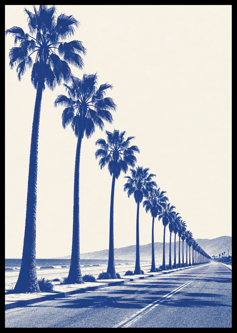 Blue-toned palm trees along a coastal road create a calm, sunny retro feel.-12
