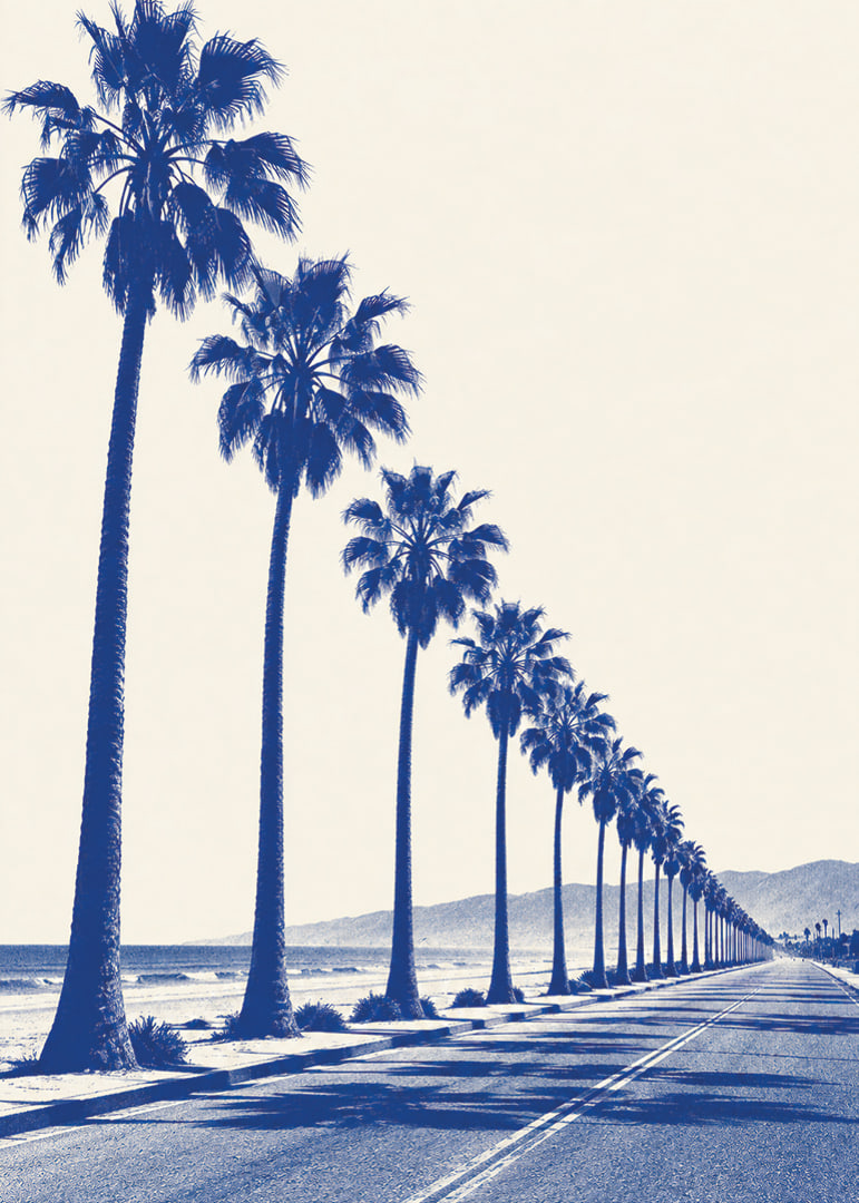 Blue-toned palm trees along a coastal road create a calm, sunny retro feel.-12