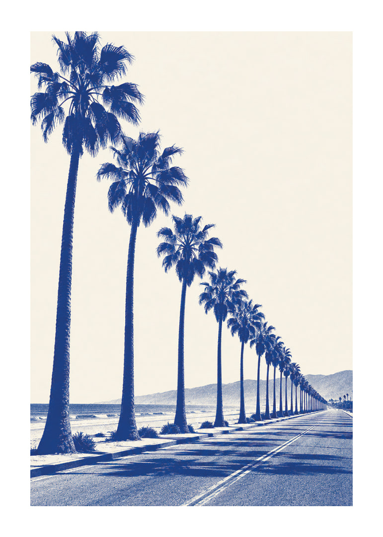 Blue-toned palm trees along a coastal road create a calm, sunny retro feel.-12