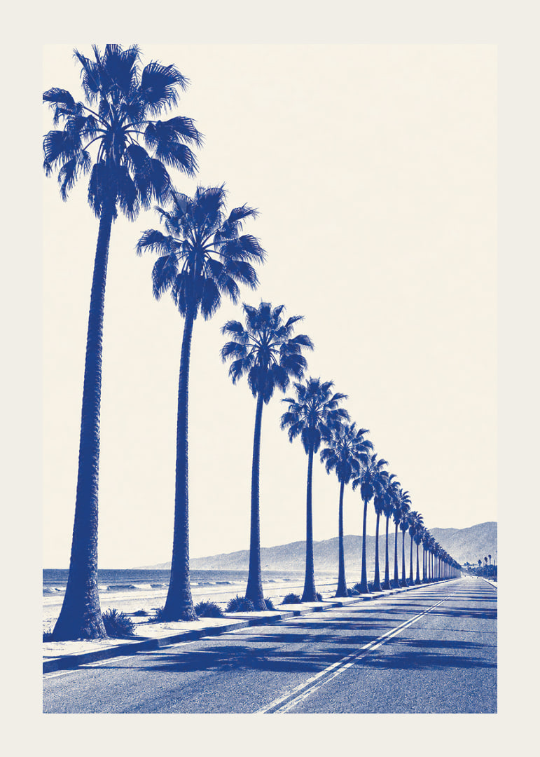 Blue-toned palm trees along a coastal road create a calm, sunny retro feel.-12