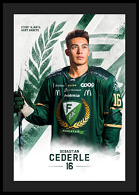 Sebastian Cederle #16 Färjestad BK 2026/2027-4