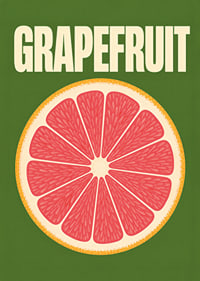 Grafische Darstellung einer Grapefruitscheibe in Rosa und Orange vor dunkelgrünem Hintergrund.-7