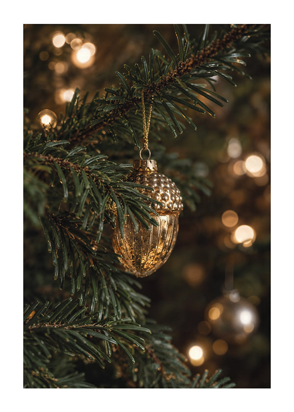 Póster Golden Acorn Glow