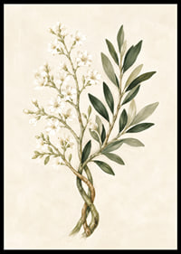 Des fleurs d'un blanc transparent et des feuilles vert olive dans une aquarelle botanique apaisante.-6
