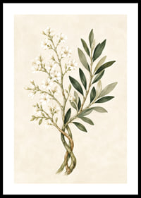 Des fleurs d'un blanc transparent et des feuilles vert olive dans une aquarelle botanique apaisante.-0