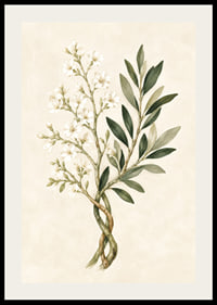 Des fleurs d'un blanc transparent et des feuilles vert olive dans une aquarelle botanique apaisante.-2