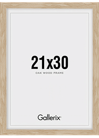 Picture Frame Oak 21x30-0