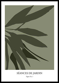 Botanical Graphic No1-0