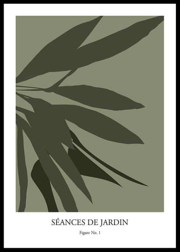 Plakāts Botanical Graphic No1