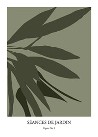Botanical Graphic No1-1