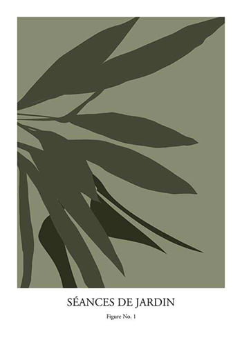 Poster Botanical Graphic No1