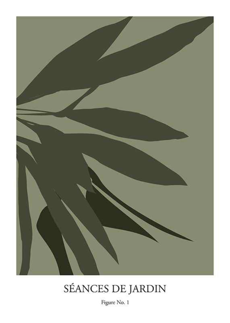 Botanical Graphic No1-12