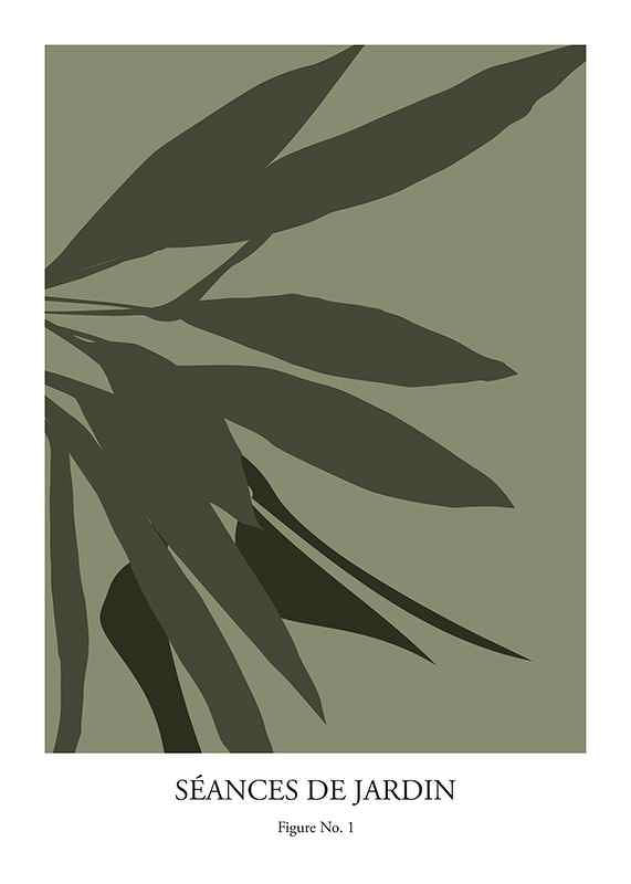 Plagát Botanical Graphic No1