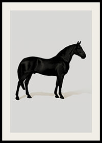 Black Horse Port. Drawing-2