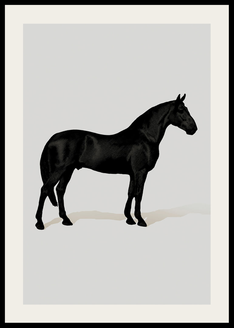 Black Horse Port. Drawing-12