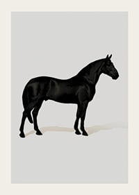 Black Horse Port. Drawing-3