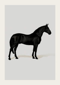 Black Horse Port. Drawing-3