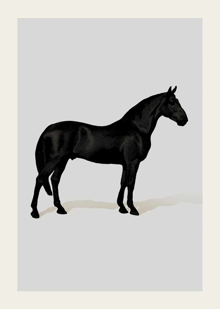 Black Horse Port. Drawing-12