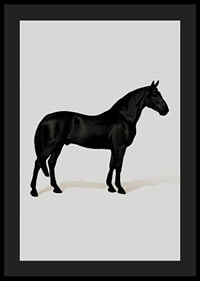 Black Horse Port. Drawing-4
