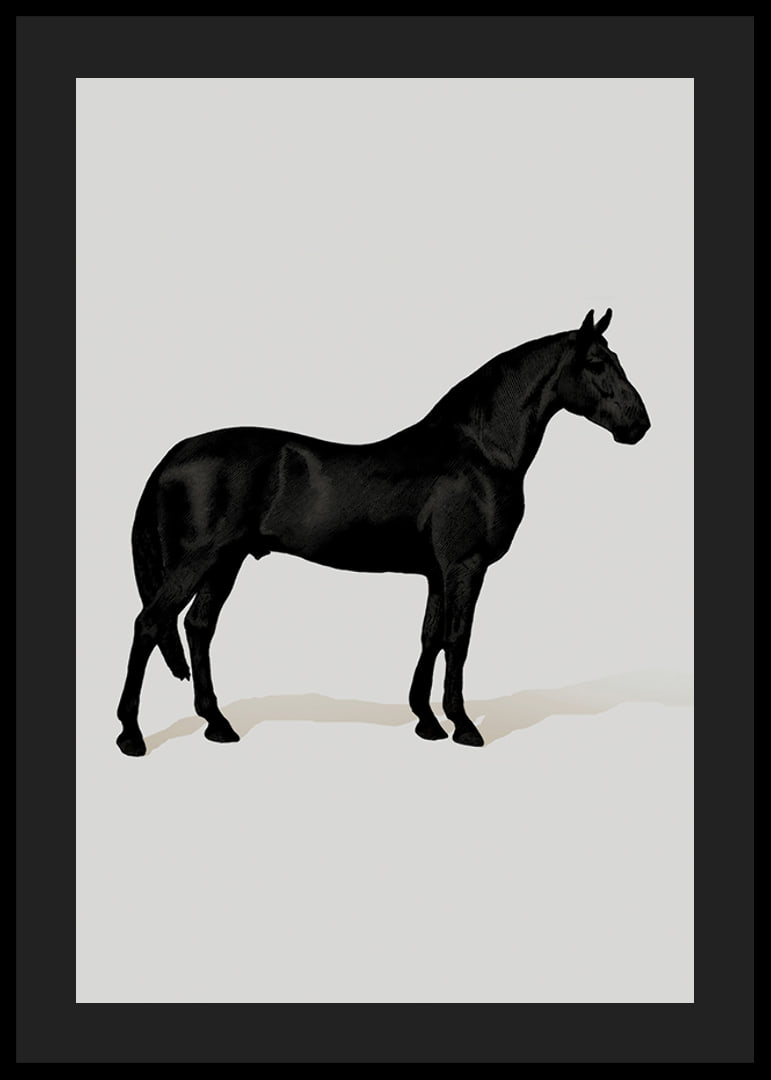 Black Horse Port. Drawing-12