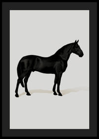 Black Horse Port. Drawing-4