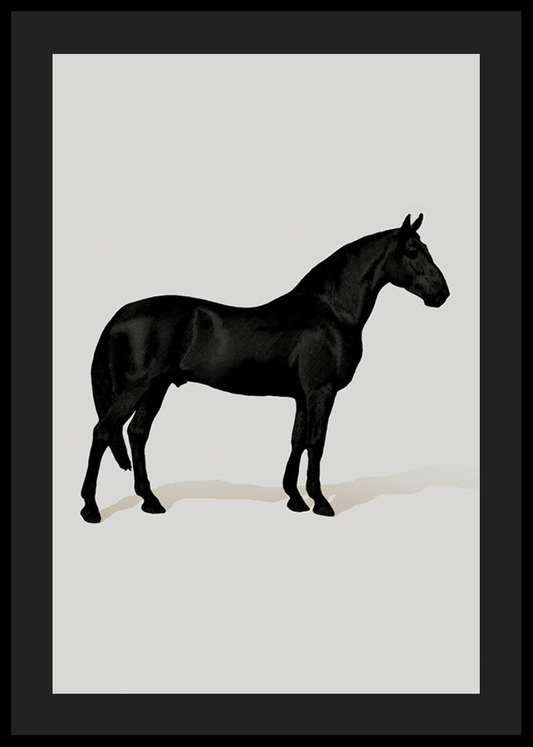 Black Horse Port. Drawing-12