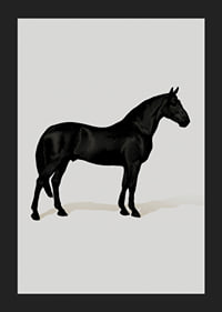 Black Horse Port. Drawing-5