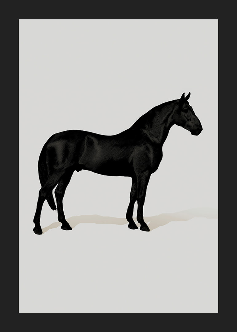 Black Horse Port. Drawing-12