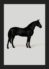 Black Horse Port. Drawing-5