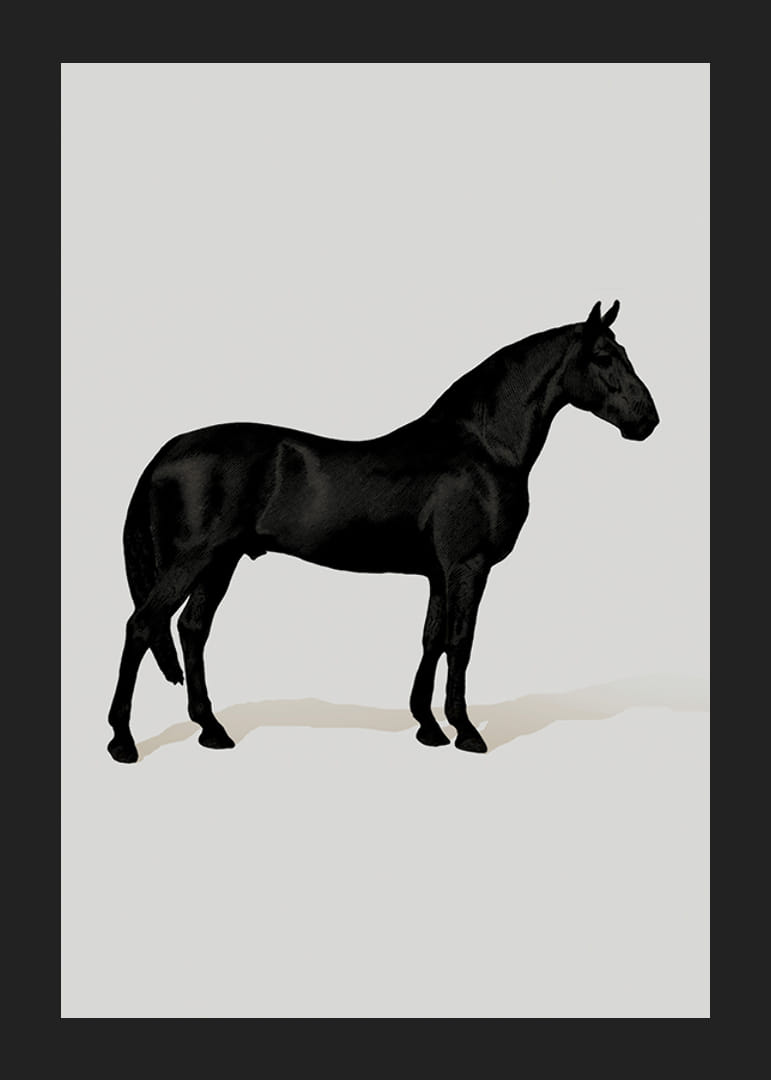 Black Horse Port. Drawing-12