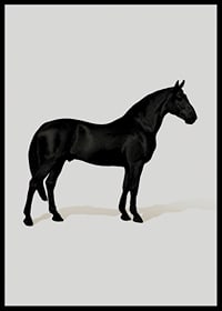 Black Horse Port. Drawing-6