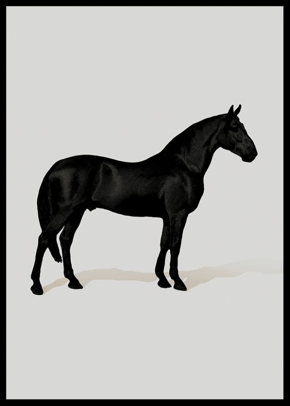 Black Horse Port. Drawing-12