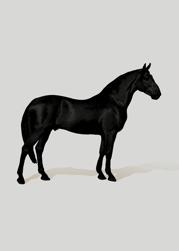 Black Horse Port. Drawing-12