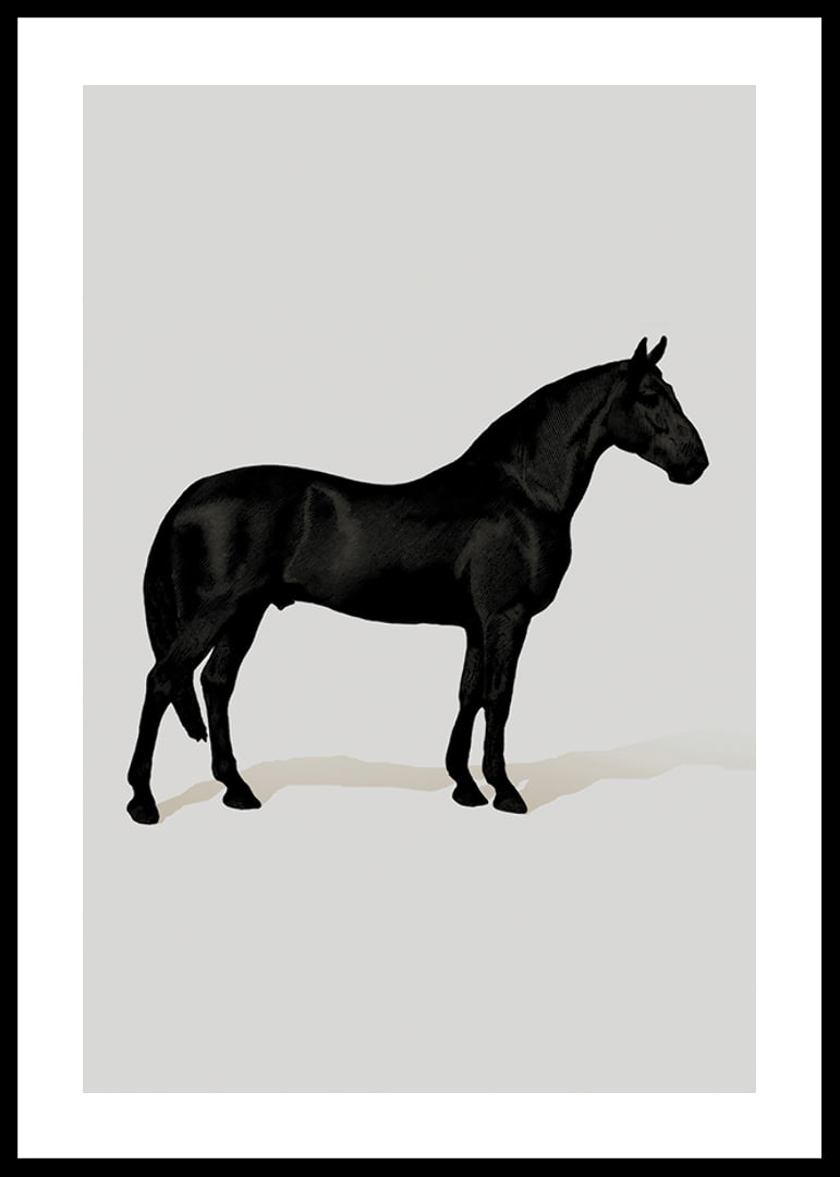 Black Horse Port. Drawing-12