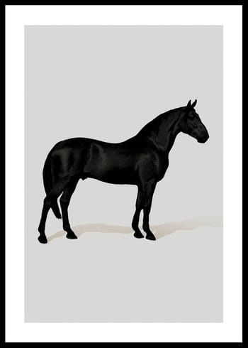 Juliste Black Horse Port. Drawing