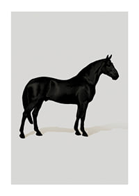 Black Horse Port. Drawing-1